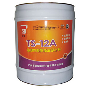 TS-12A