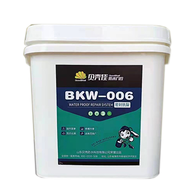 地下空间防水修缮系统——BKW-006